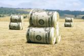 Posibilităţile de susţinere financiară a sectorului agricol