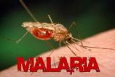 Ziua Mondiala a Malariei &ndash; 25 aprilie 2017 cu genericul: &ldquo;Stopăm malaria pentru totdeauna&rdquo;