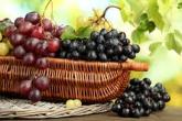 &Icirc;n atenția producătorilor și procesatorilor de struguri