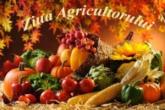 Ziua lucrătorului din domeniul agriculturii şi industria prelucrătoare