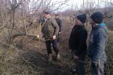 Formarea si tăierea pomilor fructiferi