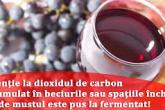 Prevenirea intoxicațiilor &icirc;n timpul fermentării mustului