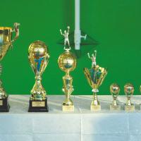 Cupa Președintelui raionului la volei