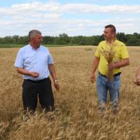 Activități, măsuri raionale perioada iunie-iulie 2020