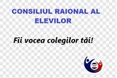 Ședința de lucru al Consiliului Raional al Elevilor