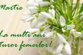 8 Martie - Ziua Internațională a Femeii!