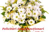 Felicitări cu prilejul zilei profesionale &bdquo;Ziua funcționarului public&rdquo;!