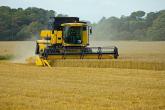 Recoltarea culturilor cerealiere de I-a grupă finisată cu succes