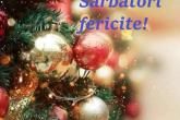 Consiliul raional Dubăsari Vă urează un An nou fericit!