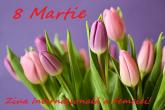 Mesaj de felicitare de 8 Martie- Ziua Internațională a Femeiei!