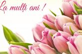 Sincere felicitări omagiaților săptăm&acirc;nii curente!
