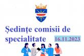 Anunț privind convocarea comisiilor de specialitate &icirc;n ședință
