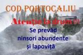 Consiliul raional Dubăsari &icirc;ndeamnă cetățenii să evite călătoriile și deplasările &icirc;n perioada 7-10 ianuarie