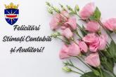 Sincere felicitări tuturor contabililor de ziua profesională
