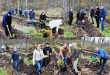 &bdquo;Un copac pentru dăinuirea noastră, un arbore pentru viitor&rdquo;