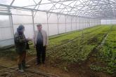 Ca sa generăm venit &icirc;n agricultură avem nevoie de culturi agricole cu valoare adăugată &icirc;naltă