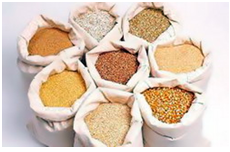 ROLUL MINERALELOR &Icirc;N ALIMENTAŢIA PĂSĂRILOR