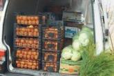 Cerințe generale cu privire la transportarea produselor alimentare