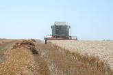 Monitorizarea mersului recoltării cerealelor